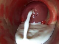Sex Gay Porn 11